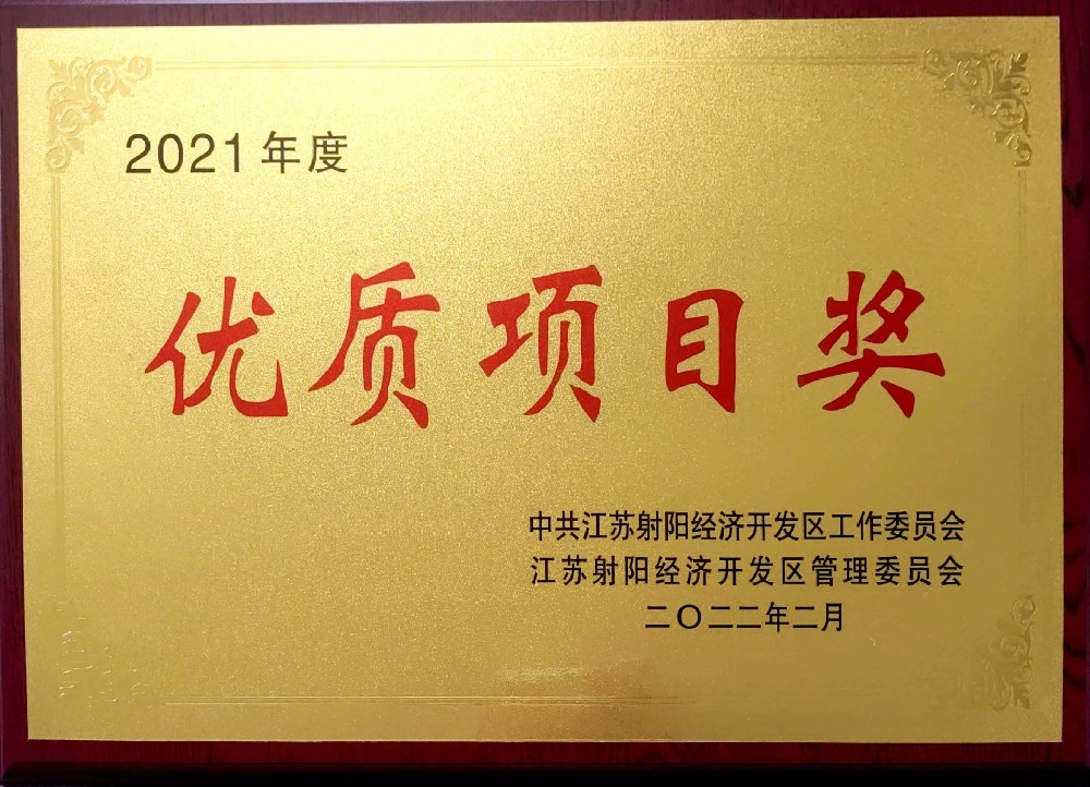 优秀项目奖